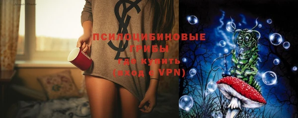 дживик Вязьма