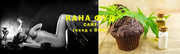 дживик Вязьма